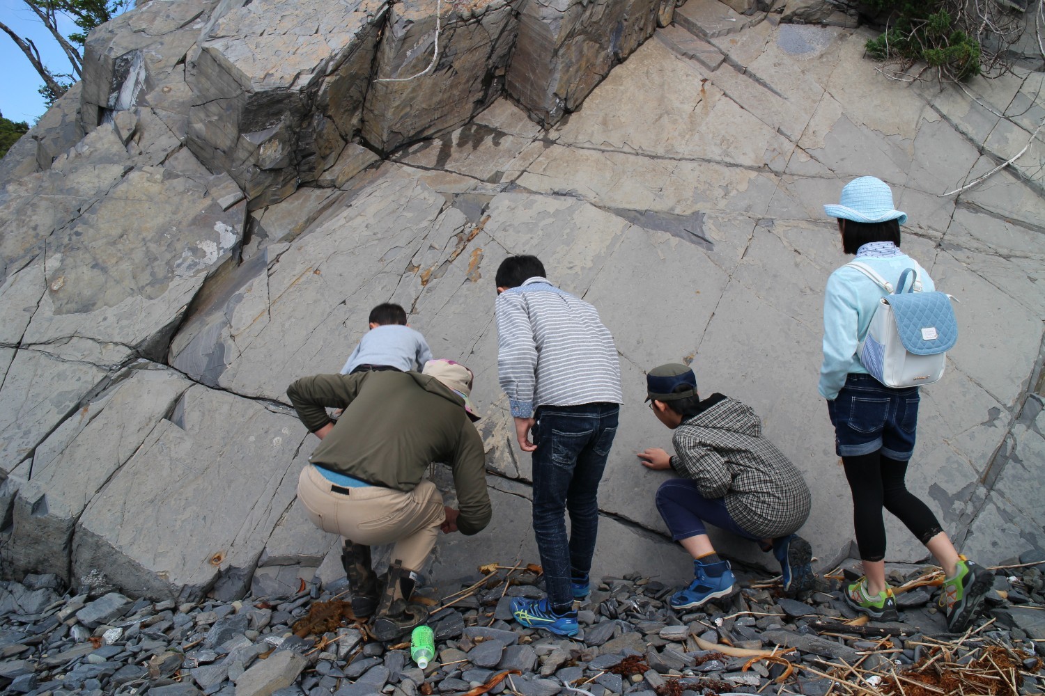 大きな岩盤を数人の子どもと案内人の男性が覗き込むようにして観察しており、地層の割れ目や化石を探している様子の写真