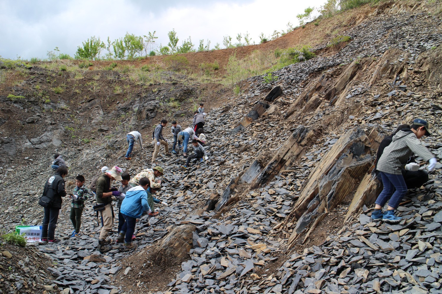 傾斜のある岩場で、大勢の子どもや大人の参加者たちが散らばって地面を掘ったり石を拾ったりしており、皆が熱心に作業をしている様子の写真