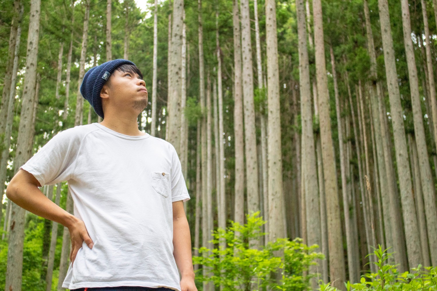 背の高いまっすぐな木が並ぶ森の中で、白いTシャツと青いニット帽をかぶった男性が空を見上げている写真