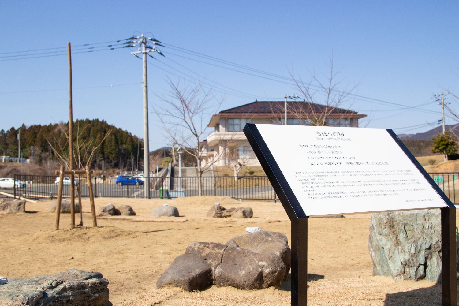 「きぼうの桜」と書かれた説明板が手前にあり、その奥に植樹された若い桜の木、青空が広がる中で整備された公園の一角を撮影した写真