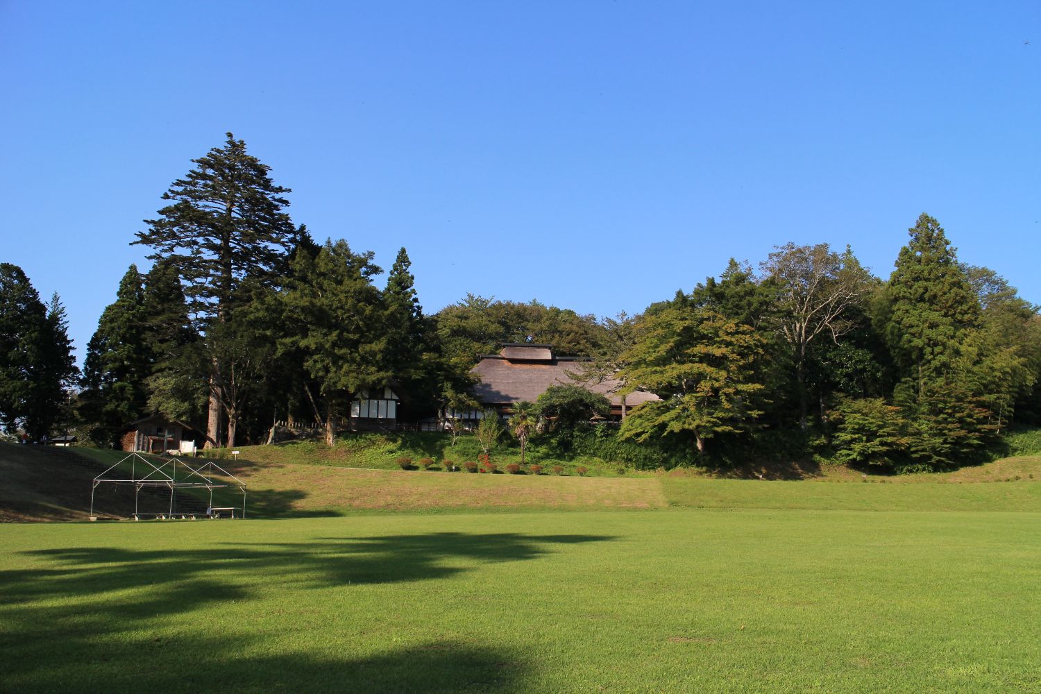芝生が整備された広いグラウンドの奥の木々の間に見えている松笠屋敷の写真