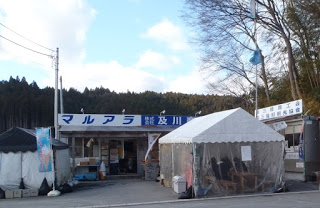 周囲を木々に囲まれ、箱や容器が置かれ、右側にソフトクリームの水色ののぼり旗が立つ屋外の「マルアラ」「株式会社及川」と書かれた看板のある建物の前に、風除け用の透明シートに囲まれたテントが立っている様子の写真