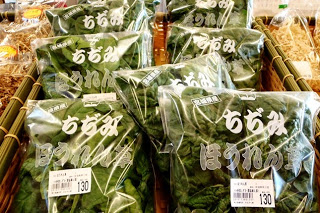 竹のふちどりがされたかごの中に、「ちぢみほうれん草」と書かれた袋入りの緑色のほうれん草がいくつも並べられて店内の野菜売り場の写真