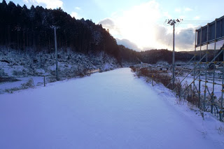 一面真っ白に雪が降り積もった道路を朝日が照らしており、左側には林があり、右側に民家が見える雪景色の風景写真