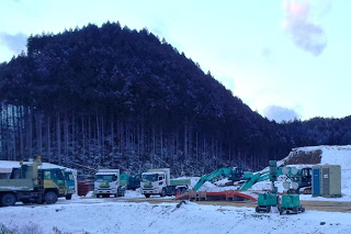 雪が積もった造成地で複数のダンプカーとショベルカーが並び、作業機材も配置され、背後には杉林の山がそびえている写真