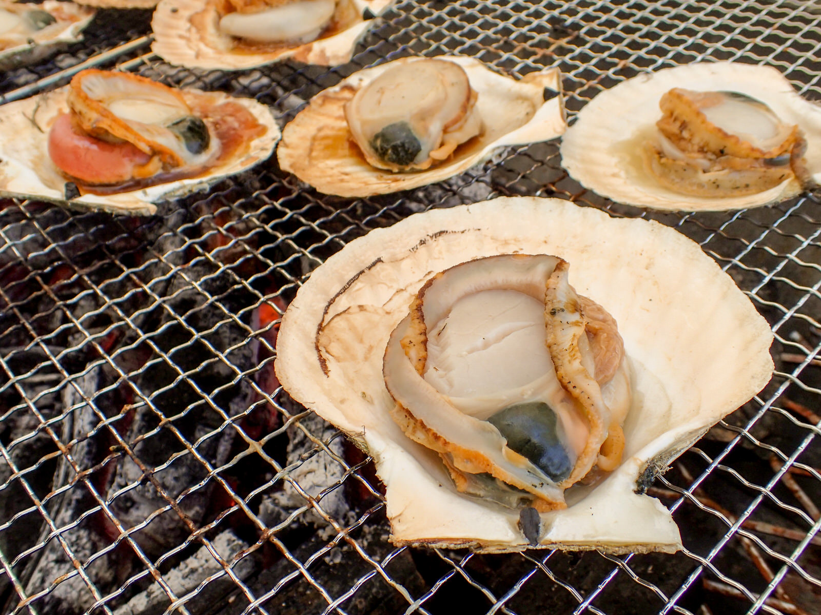 炭火焼き網の上で殻付きのホタテが焼かれている写真