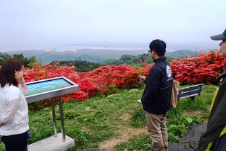 展望パネルの前に立った男女が、遠くの景色を見ながら話をしている様子の写真