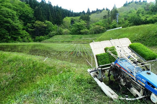 棚田のふちに田植え機が置かれ、苗を積んだ状態で今まさに田植えを始めようとしている光景が広がっている写真