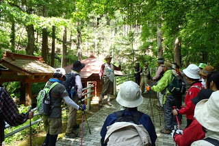 木立に囲まれた石畳の遊歩道で、登山者たちが赤い屋根の祠の前でガイドの話を聞いている写真