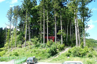 周囲に鬱蒼と茂った叢が生えた小さな山の斜面に、赤い鳥居が杉の木々に囲まれて立っている写真