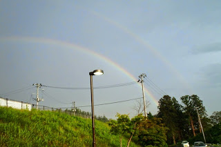 街灯と電柱の奥の空にくっきりと二重の虹がかかり、夕方の明るさの中に虹の色が浮かび上がっている写真
