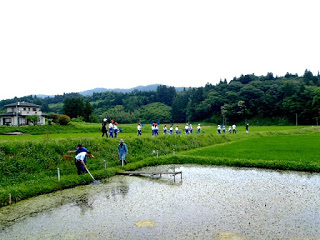 周囲を緑に囲まれ、水が張られた田んぼの中で一人が網を使って生きものを救っている背景に、子どもたちが列を作って畦道を歩いている様子の写真
