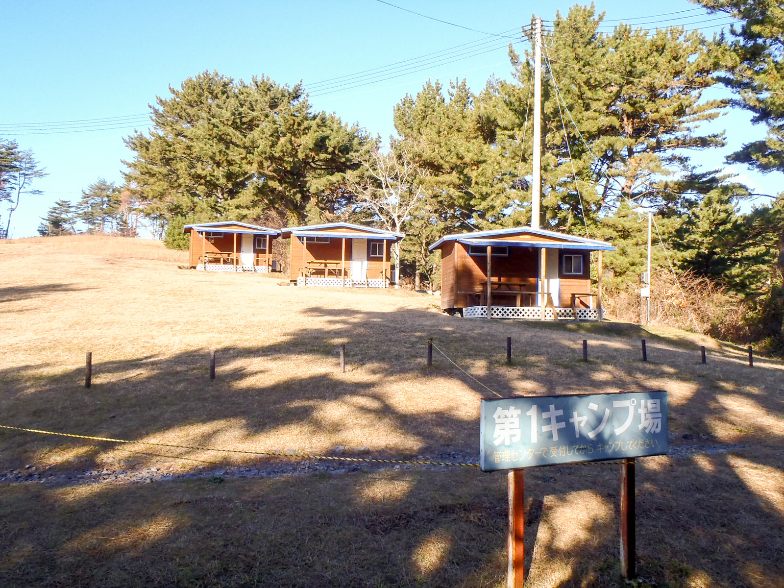 芝生のゆるやかな斜面に小さな木造のバンガローが三棟建ち、その背後には背の高い松林が広がり、手前には「第1キャンプ場」と書かれた看板が立つキャンプ場の写真