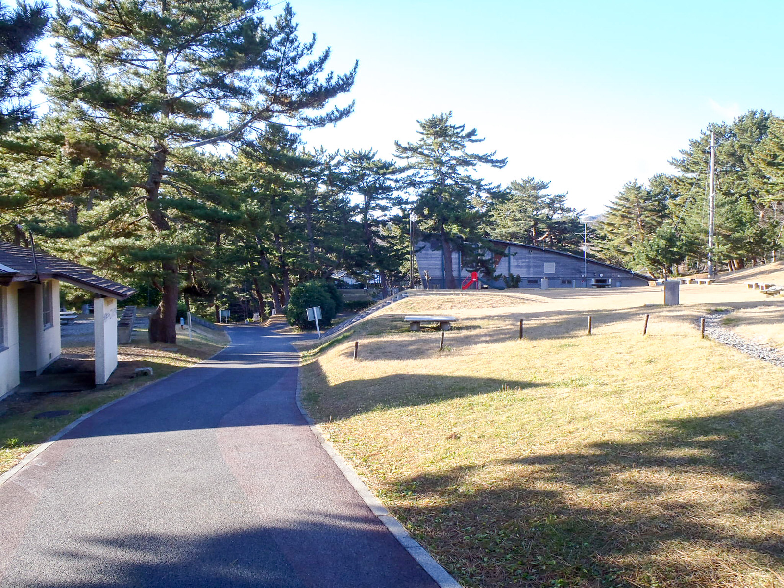 松の木が生い茂る中を舗装された道が緩やかに曲がりながら進み、右手の芝生の丘にはベンチや遊具、奥には斜めの屋根が特徴的な建物が見えるキャンプ場内の写真