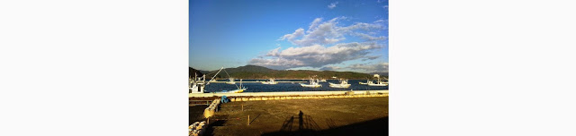 青空の下、岸壁沿いに白い漁船が数隻並び、奥には緑の山並みが広がる静かな漁港の写真