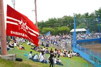 高校野球の試合会場で、芝生席に多くの観客が座って観戦する中、左手前に志津川高校の大きな赤い応援旗が風になびいている写真