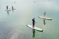 穏やかな水面の上で数人がボードに立ちSUPを楽しんでいる水上アクティビティの写真