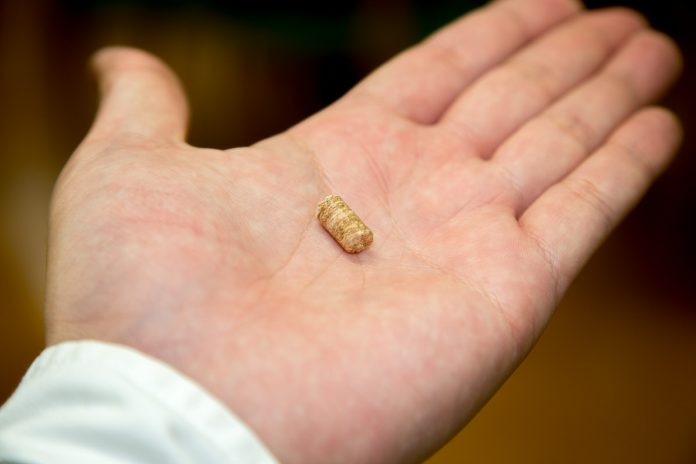 手のひらの上に、細長い円筒形で木のチップを固めたような小さな木質ペレットが一つ乗っている写真