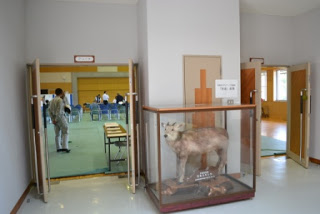 ガラスケースに入ったオオカミの剥製が中央にあり、左のドアからは体育館のような部屋で会議の準備をしている人が見え、右のドアも開放されている会場を写した写真