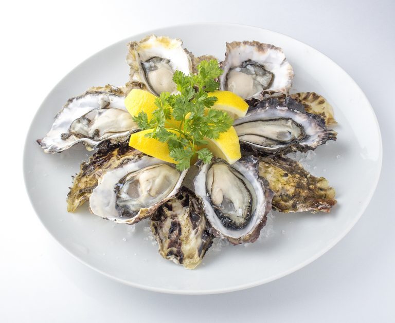 白い丸皿にスライスされたレモンが添えられた、殻のついた牡蠣が盛り付けられた写真