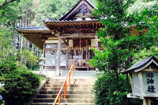 緑に囲まれた階段の上に木造の神社拝殿がある、荒嶋神社の外観写真