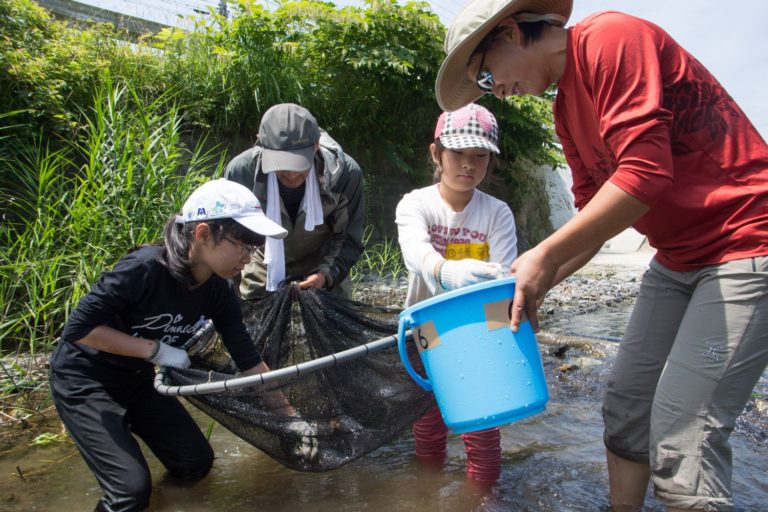 川の中に入った2人の大人と2人の女の子が大きな網を使って生きものを捕まえている様子を写している写真