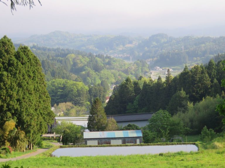 山と森に囲まれた麓に、水を張った田んぼと青い屋根の小屋があり、奥には広がる緑の山並みと薄く霞んだ遠景が見える静かな農村風景の写真