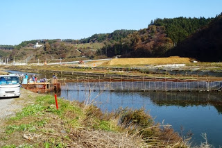 遠くには山が見え、川に仕切りが設置されているサケのやな場が見える八幡川を写した写真