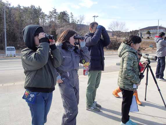屋外で双眼鏡を使って鳥を観察している子供たちの写真