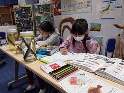 図鑑を見ながら観察記録をしている女の子たちの写真