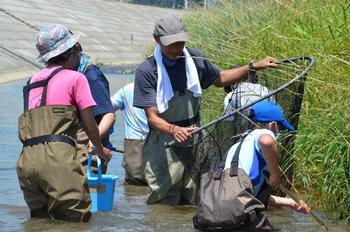 川の中で網を使って生き物を捕まえている人たちの写真