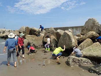 海辺に並んでいる大きな岩場で生き物を探している人たちの写真