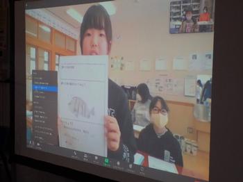 オンラインで観察結果を発表している女の子の写真