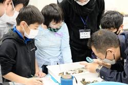 室内でルーペを使って生き物を観察している子どもたちの写真