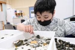 水槽の中の生き物をピンセットで掴んで観察している子どもの写真