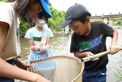 川の中に入って網を使って生き物を採っている子どもたちの写真