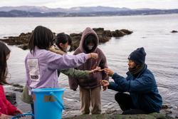 子どもたちが海辺で大人と一緒に採取した海藻などを観察している写真