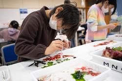 子どもが机の上で海藻を使っておしばを作り体験を行っている写真