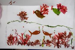 海藻を使って鳥や魚の形にアート作品を仕上げた写真
