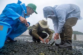 雨の中レインコートを着た男性や子供たちが地面にいる生き物を探している様子の写真