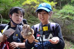 大きなキノコを手に持って観察している子どもたちの写真
