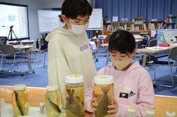 標本瓶の魚を見つめる2人の子どもの写真