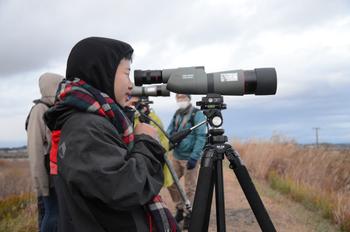 望遠鏡を使って野鳥を観察している子どもの写真