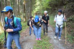 森の中の登山道を大人と歩く子どもたちの写真