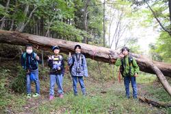 森の中で倒れた木の前に立つ4人の子どもたちの写真