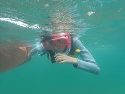 海の中で赤いゴーグルをつけて泳いでいる子どもの写真