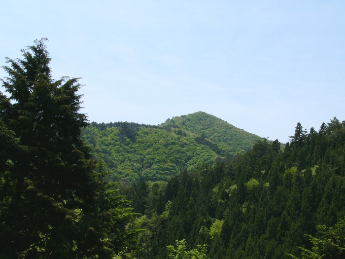 小綱木山（戸倉）