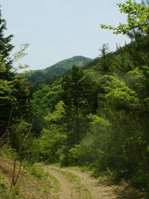 大森貝山（戸倉）