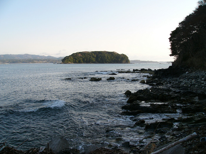 椿島暖地性植物群落（国指定　戸倉津の宮）