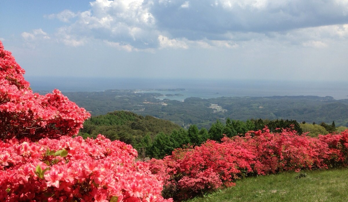 田束山からの風景